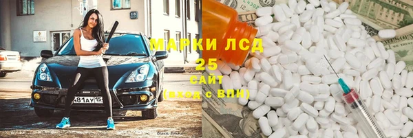шишки Саяногорск