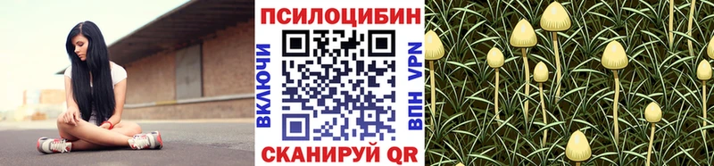 Галлюциногенные грибы Psilocybine cubensis  наркота  кракен онион  Высоцк 